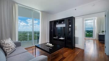 Fernseher, Arbeitsbereiche