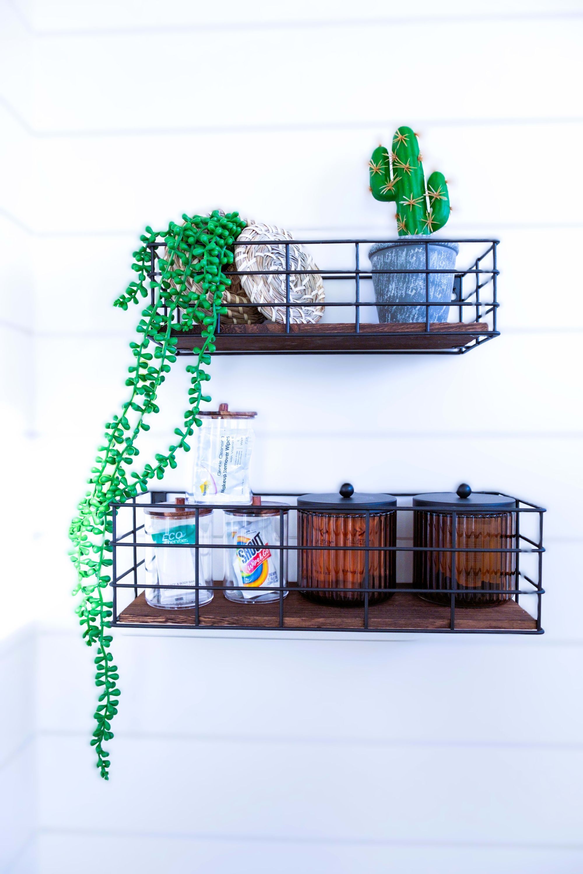 Two wall-mounted shelves with a cactus, a woven basket, and a green plant.