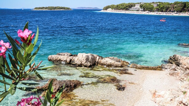 A coastal view with clear water, rocky shore, and distant buildings. - Vila Fenč (Primosten)