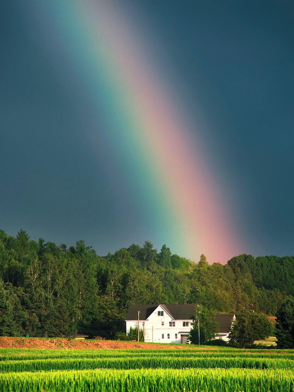 Ein Haus mit einem grünen Feld im Vordergrund und einem Wald im Hintergrund.