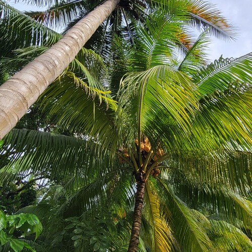 A charming private property with pool, 10 minutes away of the beach,