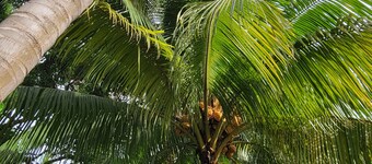 A charming private property with pool, 10 minutes away of the beach,