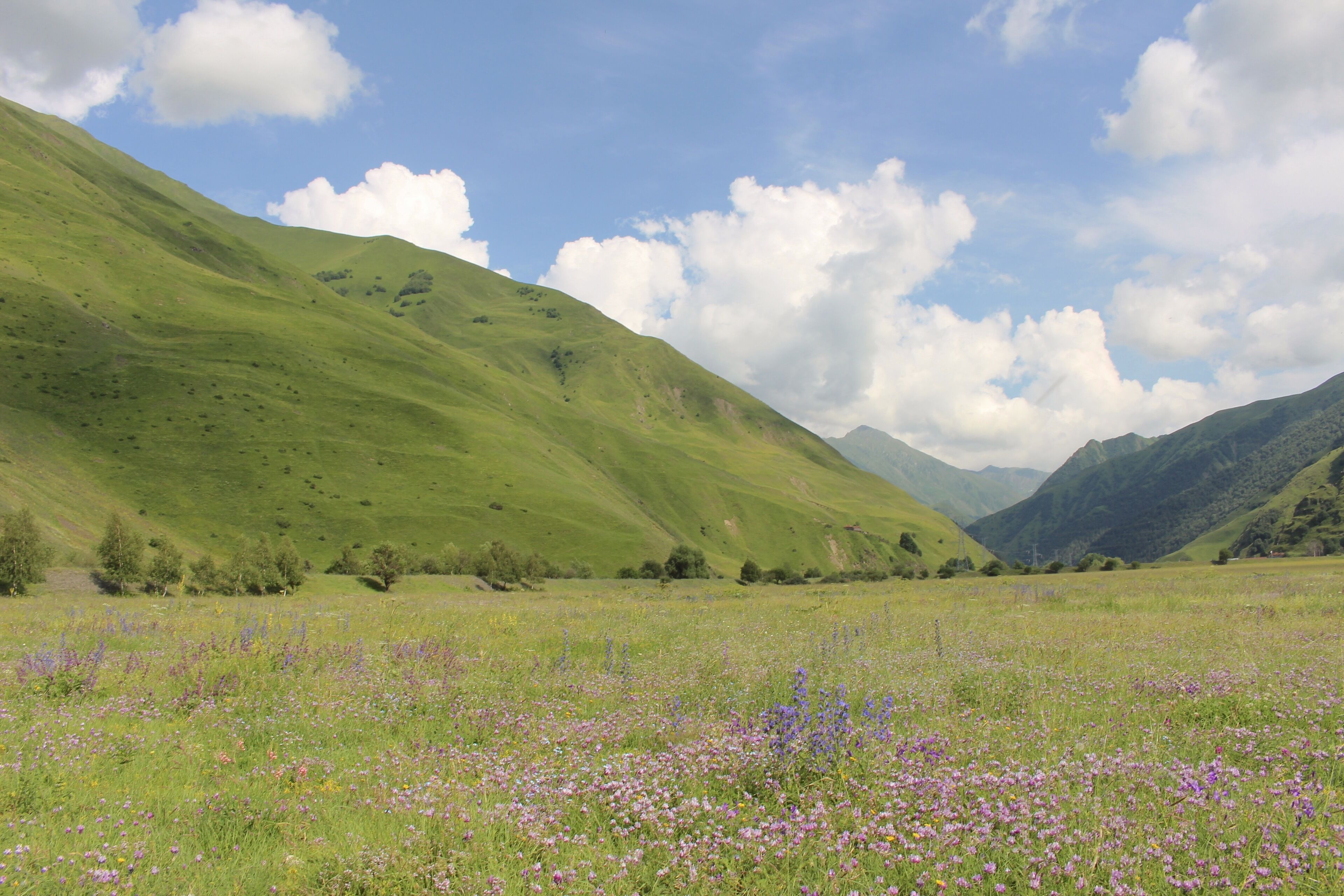 บริเวณภายนอก