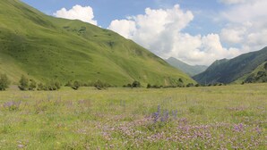 A grassy field with purple flowers and green hills in the background. - Hotel TWINS Achkhoti (Kazbegi)