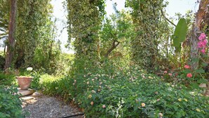 公寓, 2 間臥室, 吸煙房, 陽台 | 花園