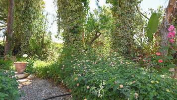 Jardín