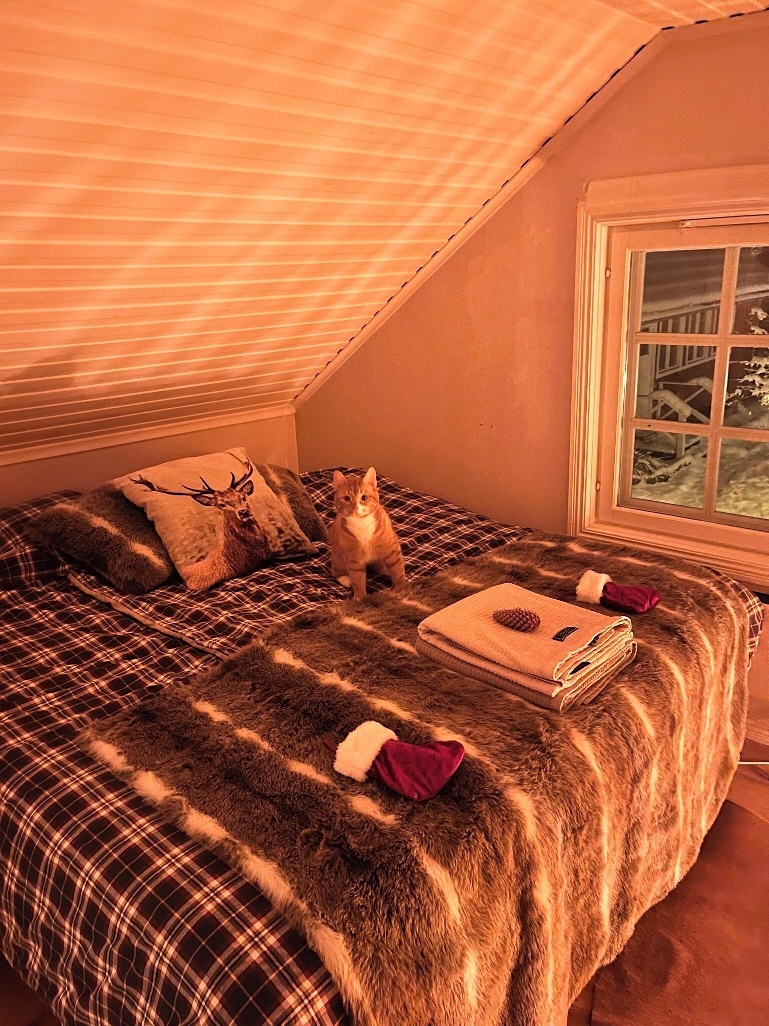 House, 3 Bedrooms, Accessible, Smoking | 3 bedrooms