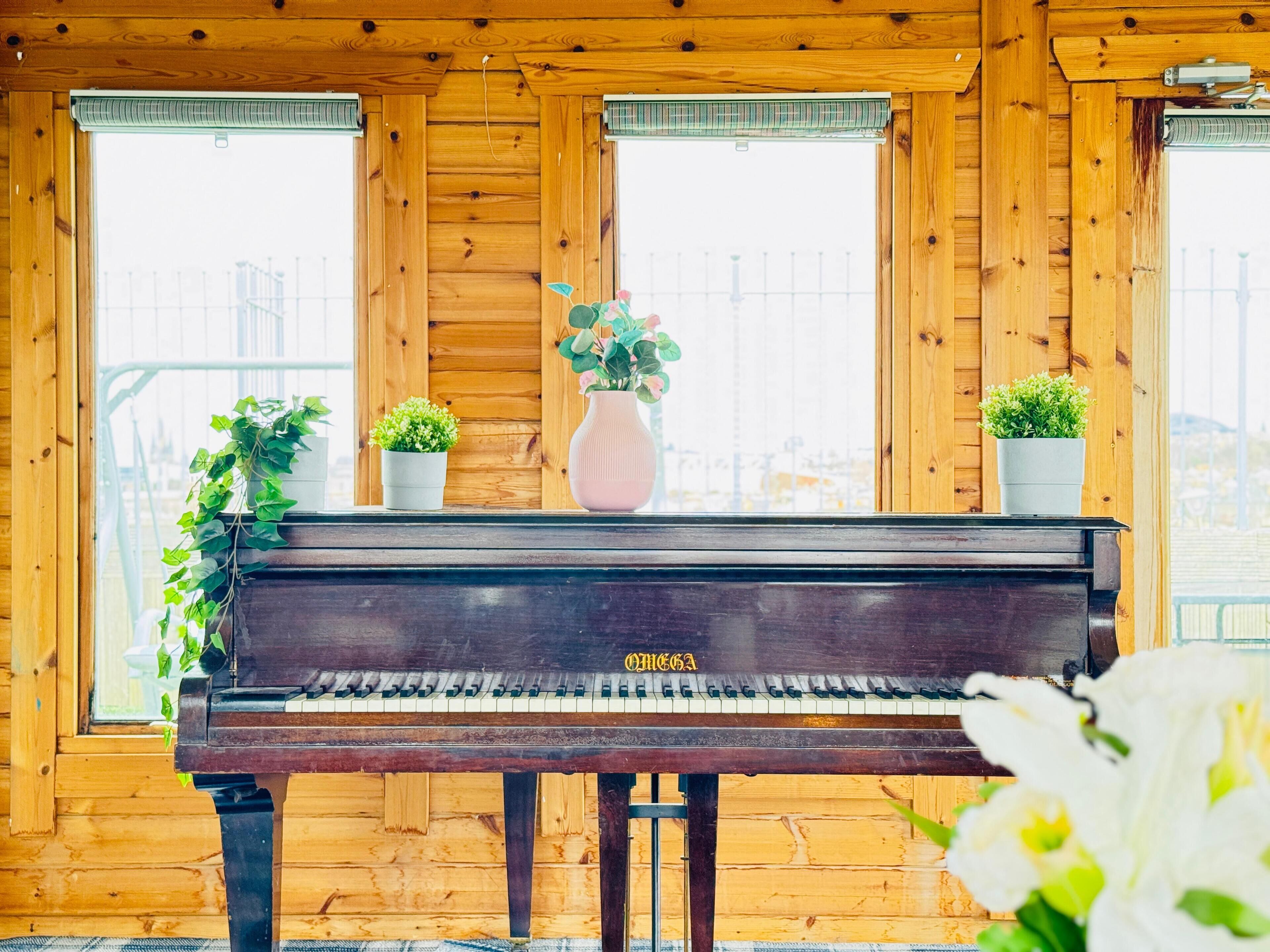 Um piano de cauda em um quarto de madeira com janelas amplas e plantas em vasos.