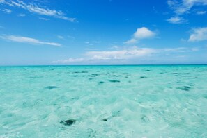 A clear view of turquoise ocean water with a distant horizon under a blue sky. - Another Sky Ishigaki Island (Ishigaki)