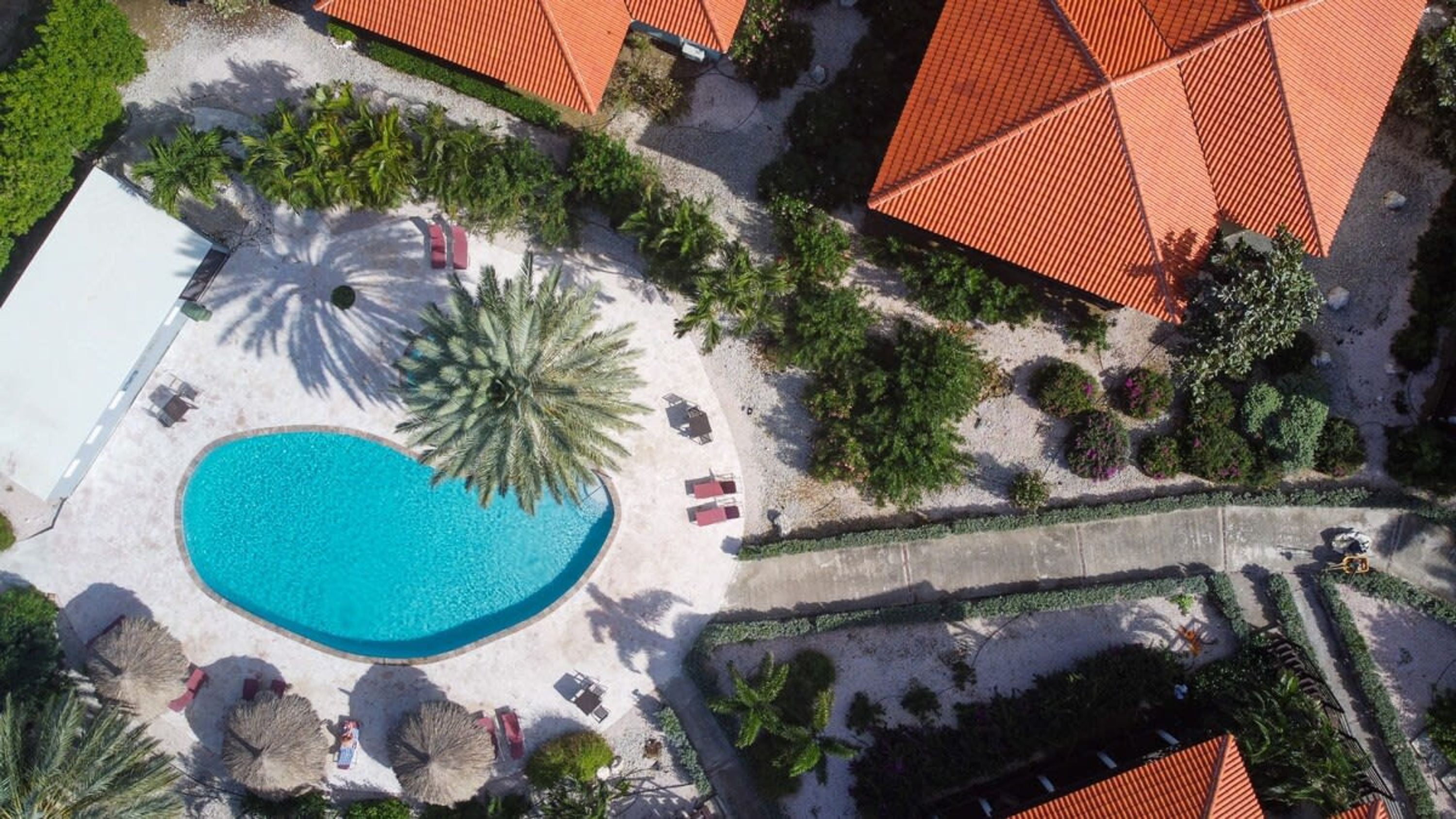 Vista aérea de un resort con una piscina central rodeada de palmeras, sillas de descanso y un paseo cubierto.