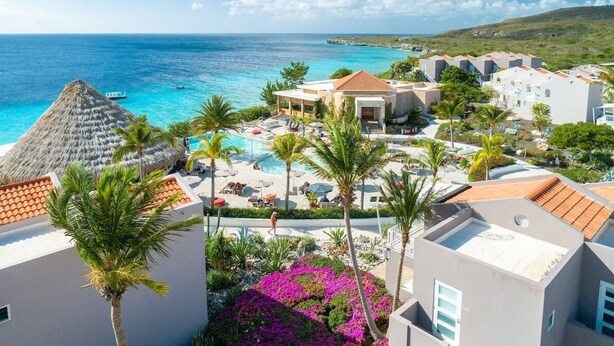 Un resort con piscina, palmeras y vistas al océano.