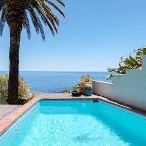 A rectangular swimming pool with a clear blue water surface, surrounded by a white wall and a palm tree.