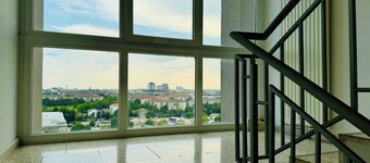 Joy City Stay Forest 84