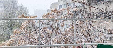 2 habitaciones y acceso a internet