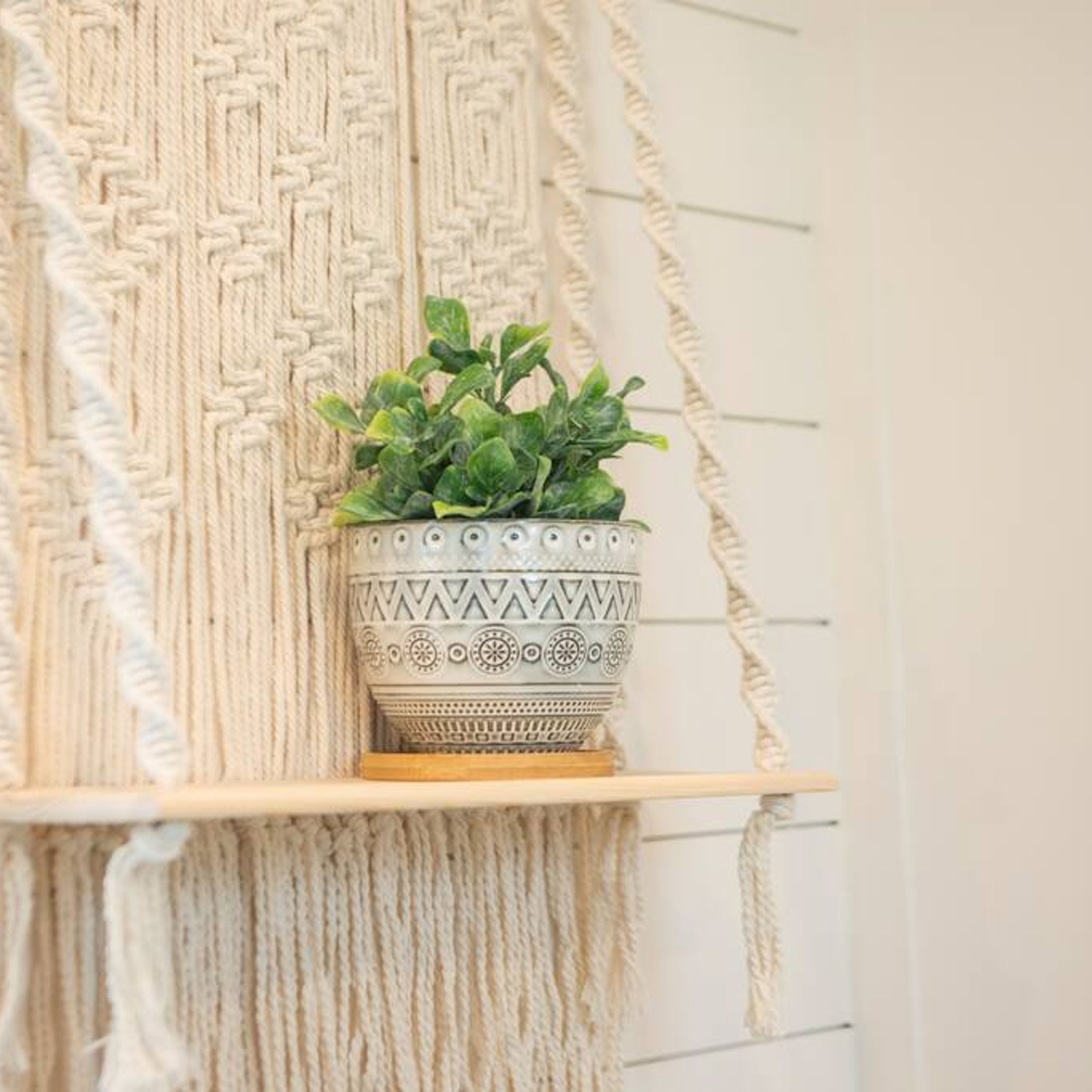 A potted plant on a shelf against a textured wall.