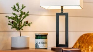 A small potted plant, a candle, and a jar on a wooden surface. - Deer Creek Tiny Container Home-12 Min to Magnolia (Waco)