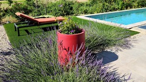 Une piscine entourée d’un jardin agrémenté de plantes de lavande et d’un jardinier rouge.