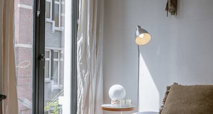 BE ANT Coqu 3 in Antwerpen