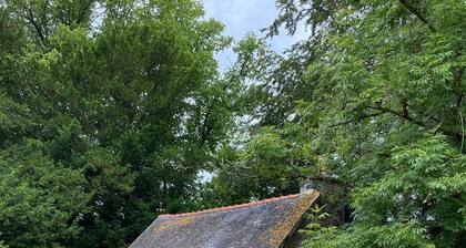 A French countryside detached cottage located in hectares of private land.