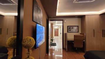 Business Apartment, 1 King Bed, City View