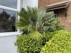 Casa | 4 quartos, acesso à internet de alta velocidade