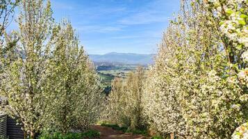 ํ์ฐ์ค | 4 ๊ฐ์ ์นจ์ค, ์ธํฐ๋ท