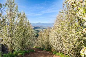 獨棟房屋 | 4 間臥室、網路服務