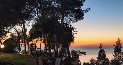 Beachside Haven, Poolside Serenity & Sunset Magic
