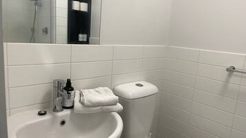 Apartment | 1 bedroom, Internet