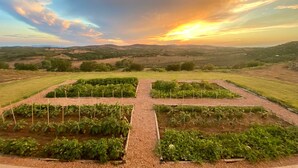 Un jardín con camas elevadas y vistas a colinas ondulantes al fondo.