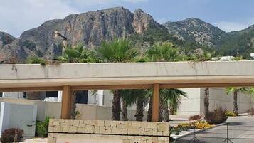 Villa | 3 bilik tidur