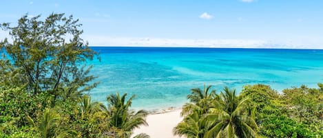 Una playa con agua turquesa cristalina, palmeras y un camino de arena que conduce a la orilla.