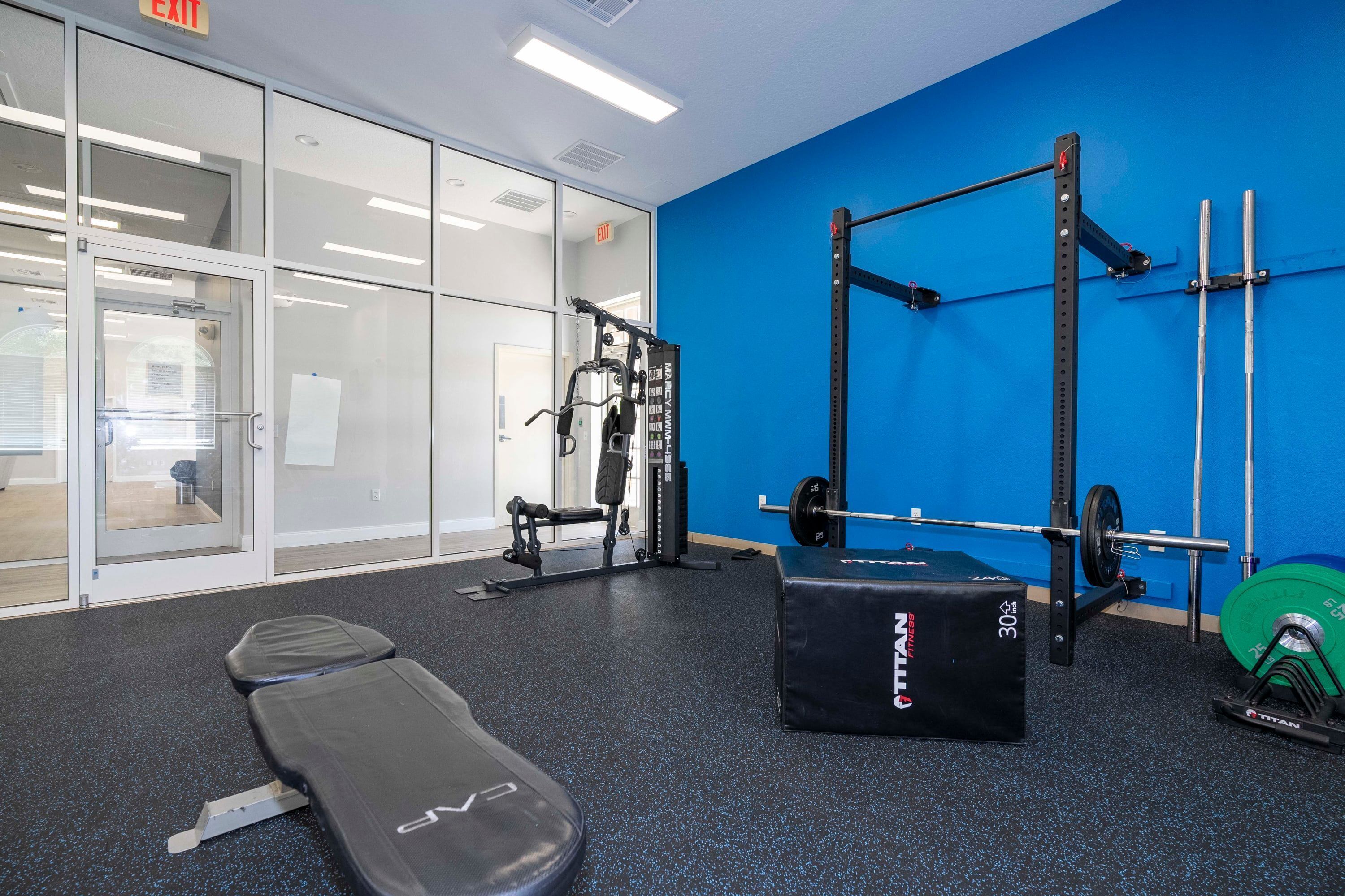 A gym with weightlifting equipment, a bench, and a blue wall.