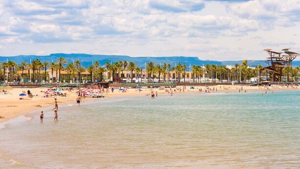 A beach with palm trees, a sandy shore, and a mountainous backdrop. - Unik Vacation Palm Beach (Vila-Seca)