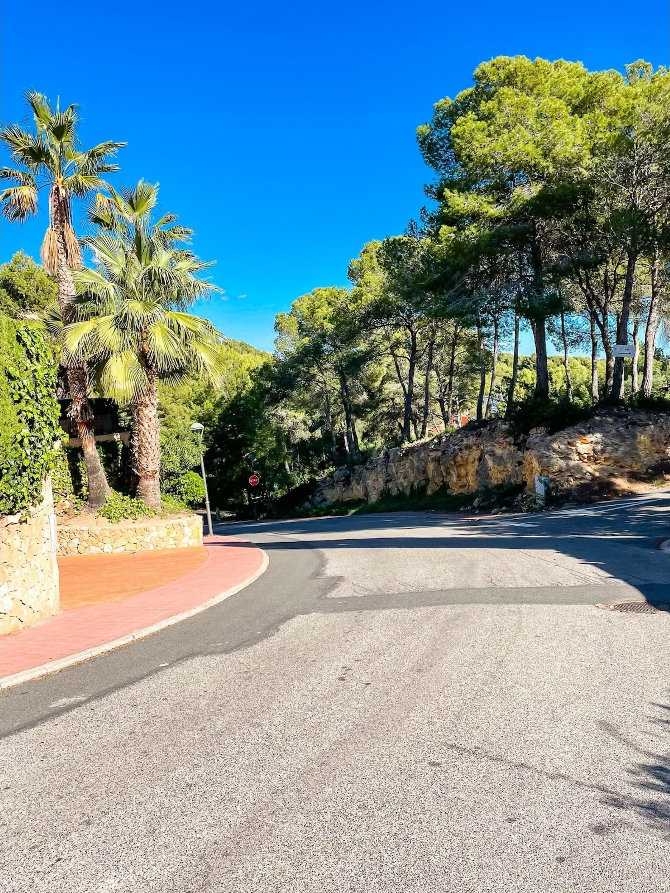 Eine gewundene Straße mit einer Steinmauer auf der einen Seite und Bäumen auf der anderen.