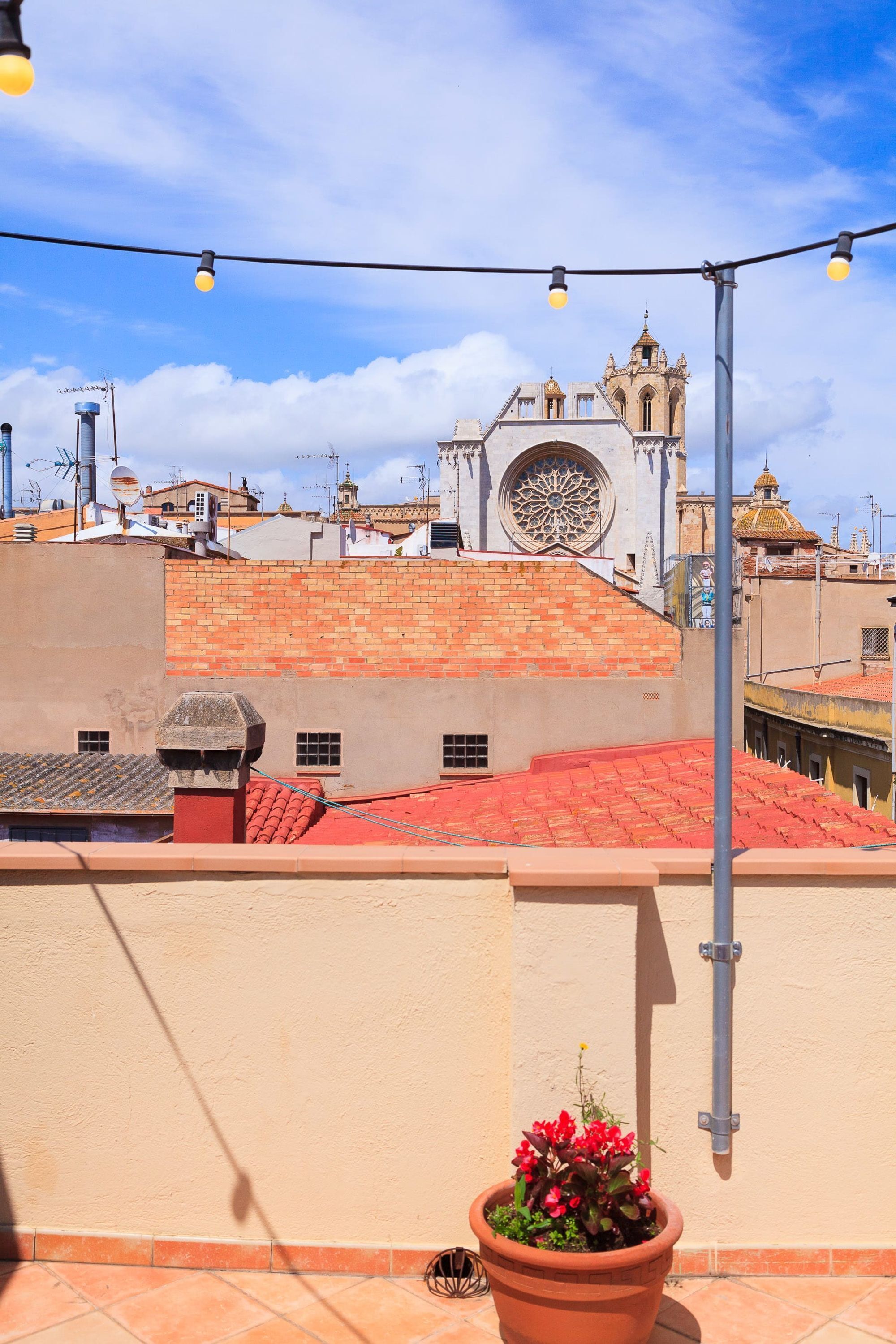 A rooftop terrace with a potted plant, a string of lights, and a view of a historic building with a large circular window.