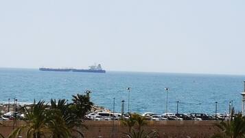 A coastal view with a large ship in the distance, a parking area with cars, and palm trees in the foreground.