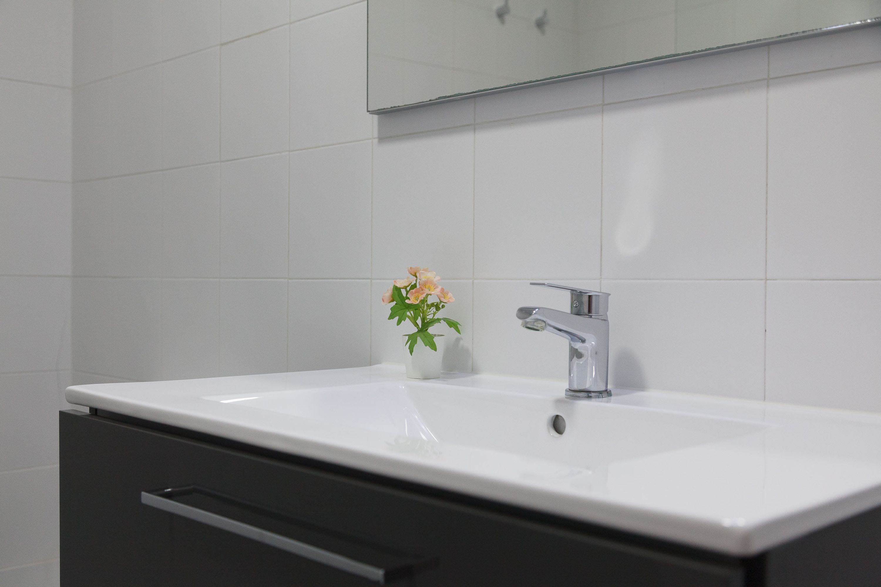 Un baño con un lavamanos blanco, un espejo y una pequeña planta en maceta.