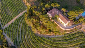 Une vue aérienne d’un vignoble avec ses rangées de vignes, une maison avec un toit recouvert de tuiles rouges et une piscine.