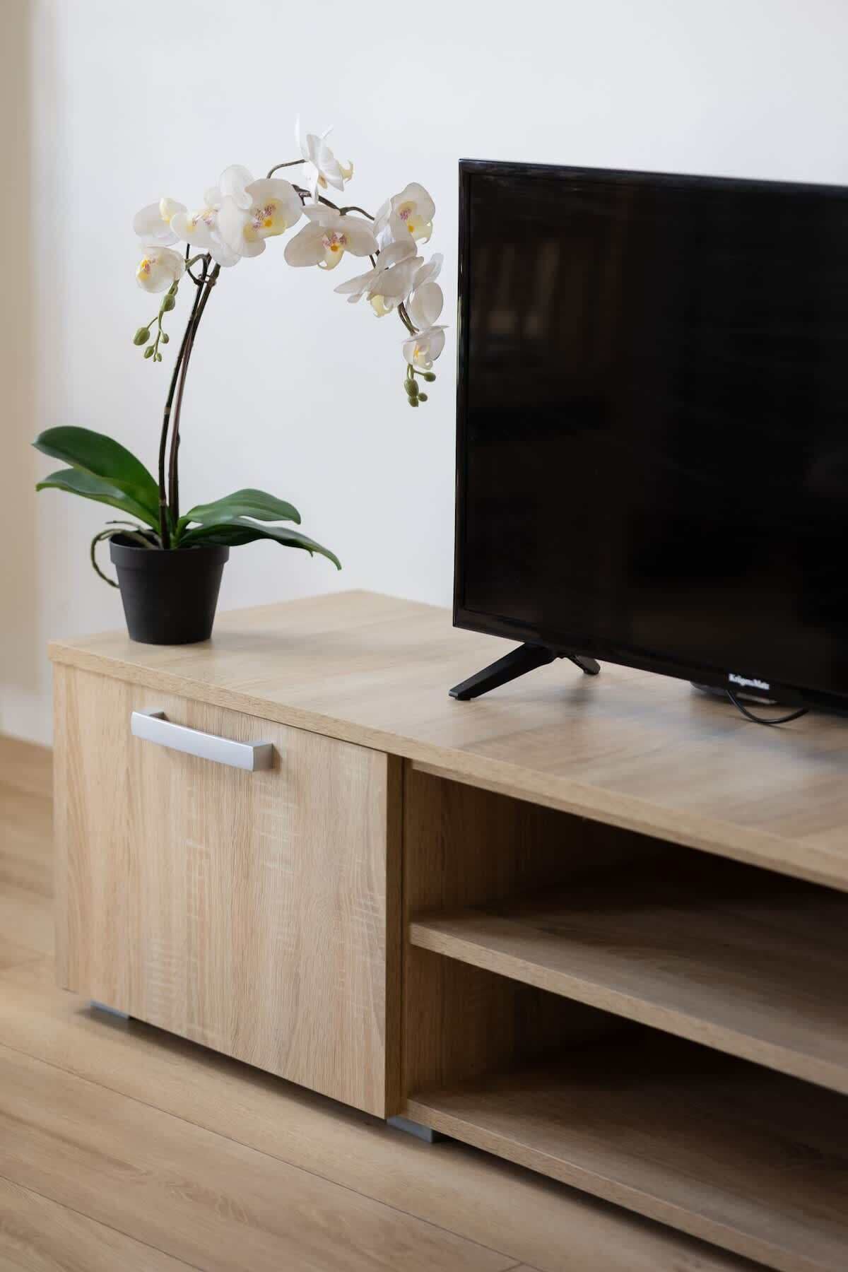 Ein Fernsehschrank aus Holz mit einem Flachbildfernseher und einer Topf-Orchidee.