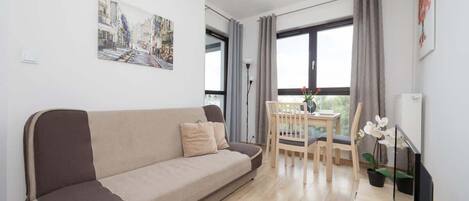 Fernseher, Arbeitsbereiche