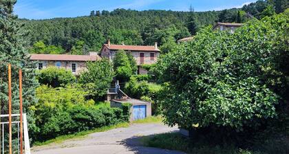 80M2 DANS LES CEVENNES! CALME ASSURE DANS UN SUPERBE HAMEAU.