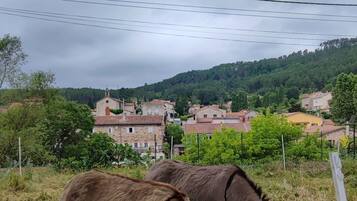 Un burro pastando en un área cercada con casas y un cielo nublado al fondo.