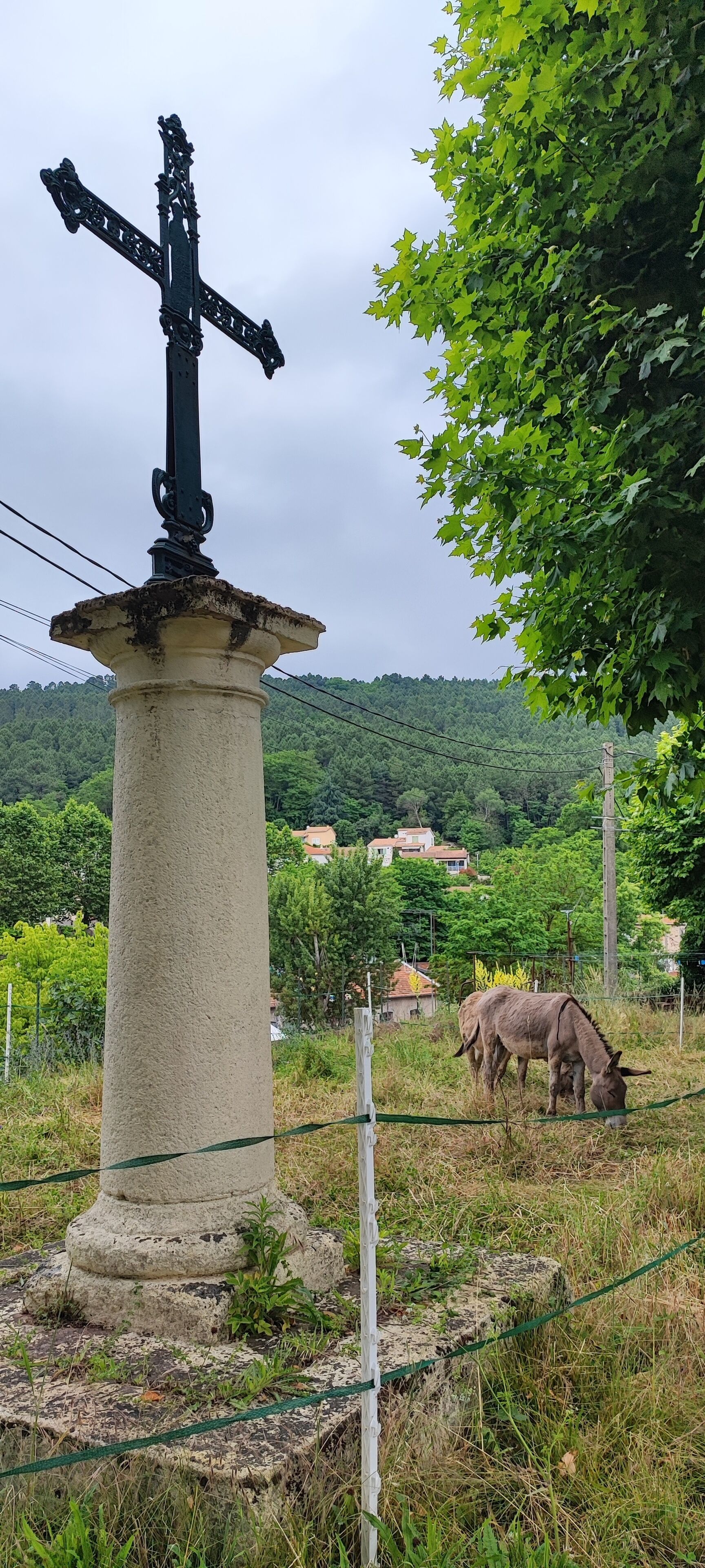 Um monumento de pedra com uma cruz, rodeado por vegetação e uma cerca.