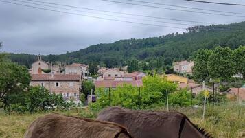 Un âne broute dans un champ clôturé, avec un village et des collines en arrière-plan.