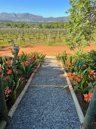 Charming one bed cottage: Breathtaking vineyard views to the mountains beyond