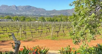 Charming one bed cottage: Breathtaking vineyard views to the mountains beyond