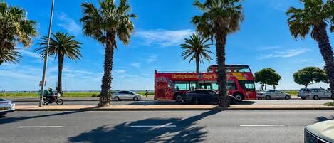 A red double-decker bus with 'City Sightseeing Cape Town' written on it, parked on a street with palm trees and a clear blue sky.