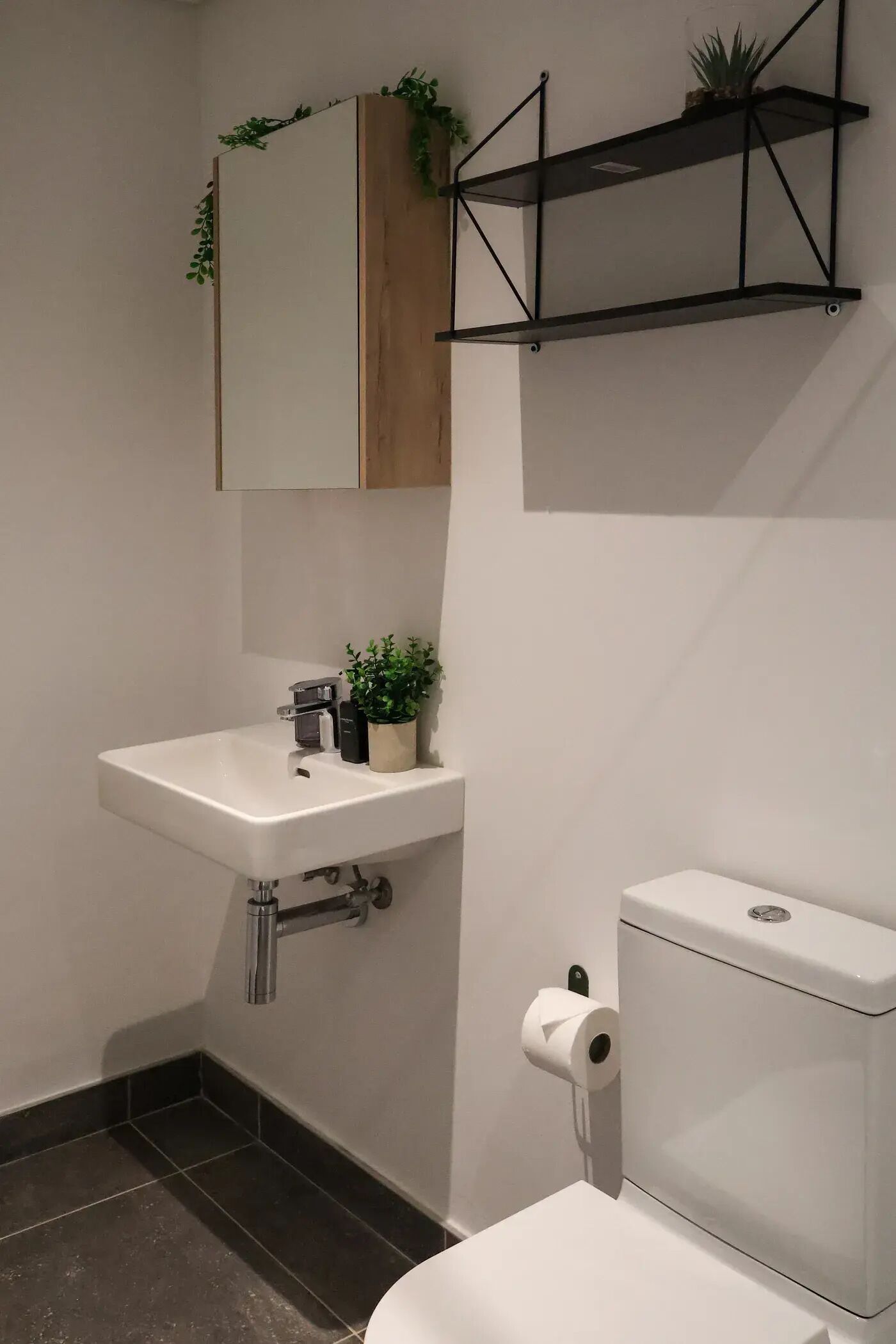 Un baño con lavamanos blanco, inodoro y estante con plantas.