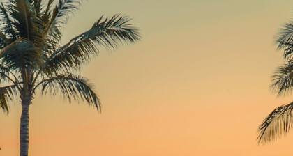 The Jing, Boutique Resort